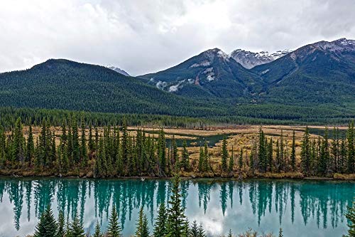 20x30 Inch Laminated Forest Scenic Poster - Vibrant River & Trees Landscape Wall Art for Home & Office Decor - Perfect for Living Room, Bedroom or Study