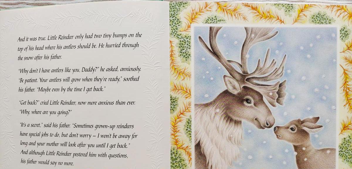 Animal Tales: A Treasury of Animal Adventure Stories - Perfect for Kids Bedtime Reading & Family Storytime