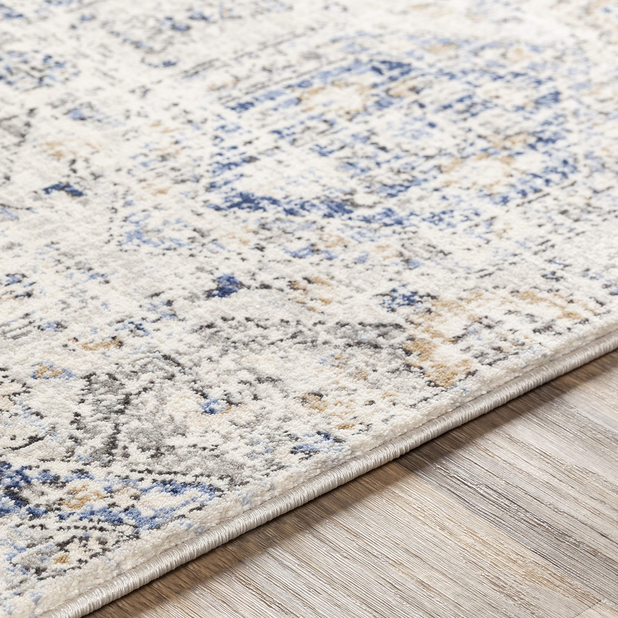 Livabliss Aune Soft Plush Area Rug 4'3