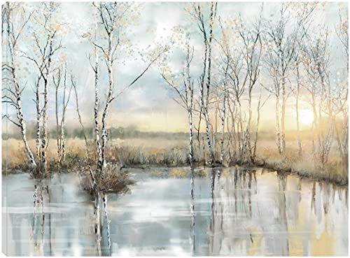 Calm Reflections