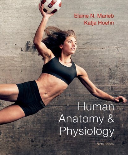 Human Anatomy & Physiology Textbook by Elaine N. Marieb - 10th Edition (2012) | Comprehensive Medical Reference for Nursing Students & Healthcare Professionals | Perfect for Medical School, NCLEX Prep & Clinical Studies