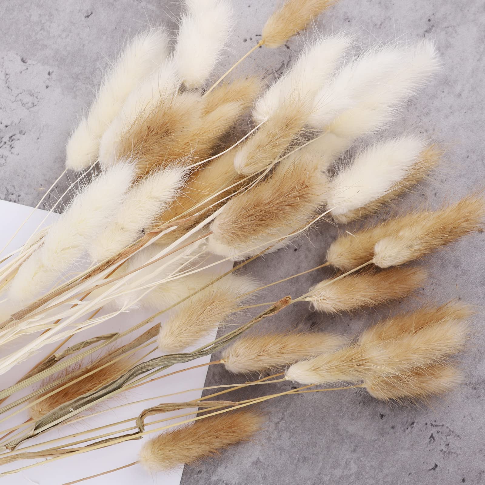 50 Pcs 17.7 Inches White & Pink Artificial Lagurus Bunny Tails Grass - Dried Pampas Grass Bouquet for Boho Home Decor, Wedding Centerpieces, Table & Bedroom Decoration - Fluffy Rabbit Tail Flowers for Rustic & Farmhouse Style