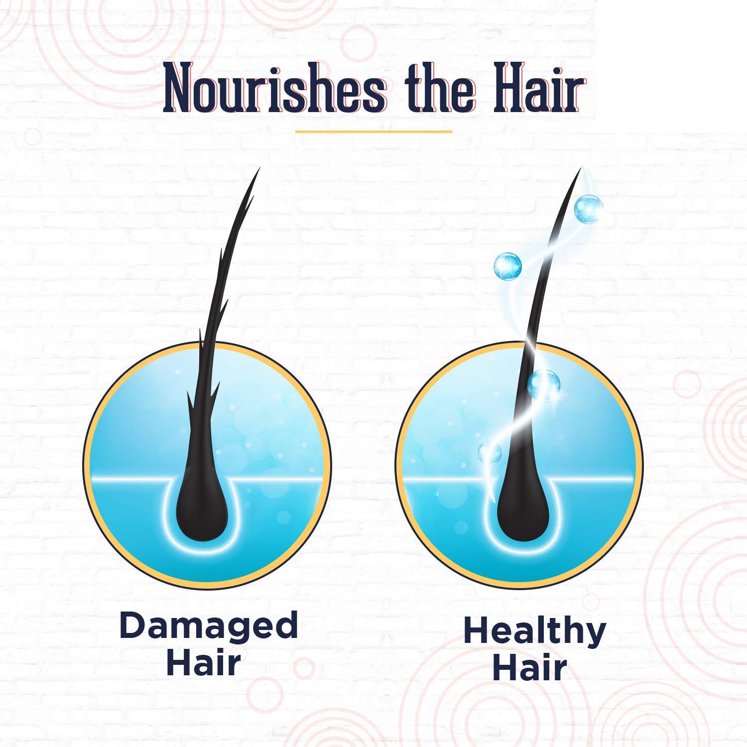 MAXBELLA® Coconut Milk & Avocado Hair Conditioner - Nourishing, Hydrating Treatment for Silky, Shiny & Strong Hair - Paraben & Mineral Oil Free - 300ml - Perfect for Daily Hair Care & Damaged Hair Repair (For Men & Women)