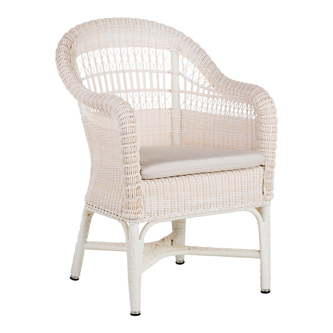 Modern Alga Dining Armchair - Mid-Century Style Wooden Chair for Kitchen & Dining Room - Comfortable & Sturdy Seating for Home, Restaurant, or Cafe