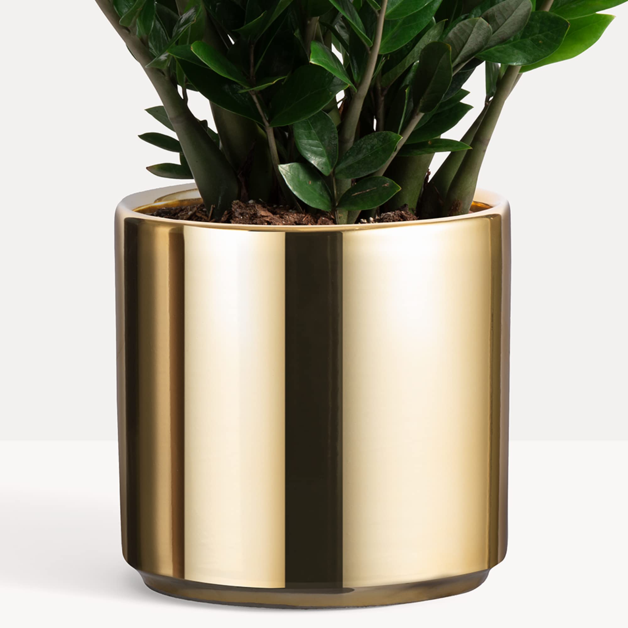 PEACH & PEBBLE 12 Inch Gold Ceramic Planter - Classic Cylinder Flower Pot with Drainage Hole & Stopper for Indoor Plants, Succulents, Herbs - Perfect for Home Decor, Office Desk, Living Room & Gift Giving
