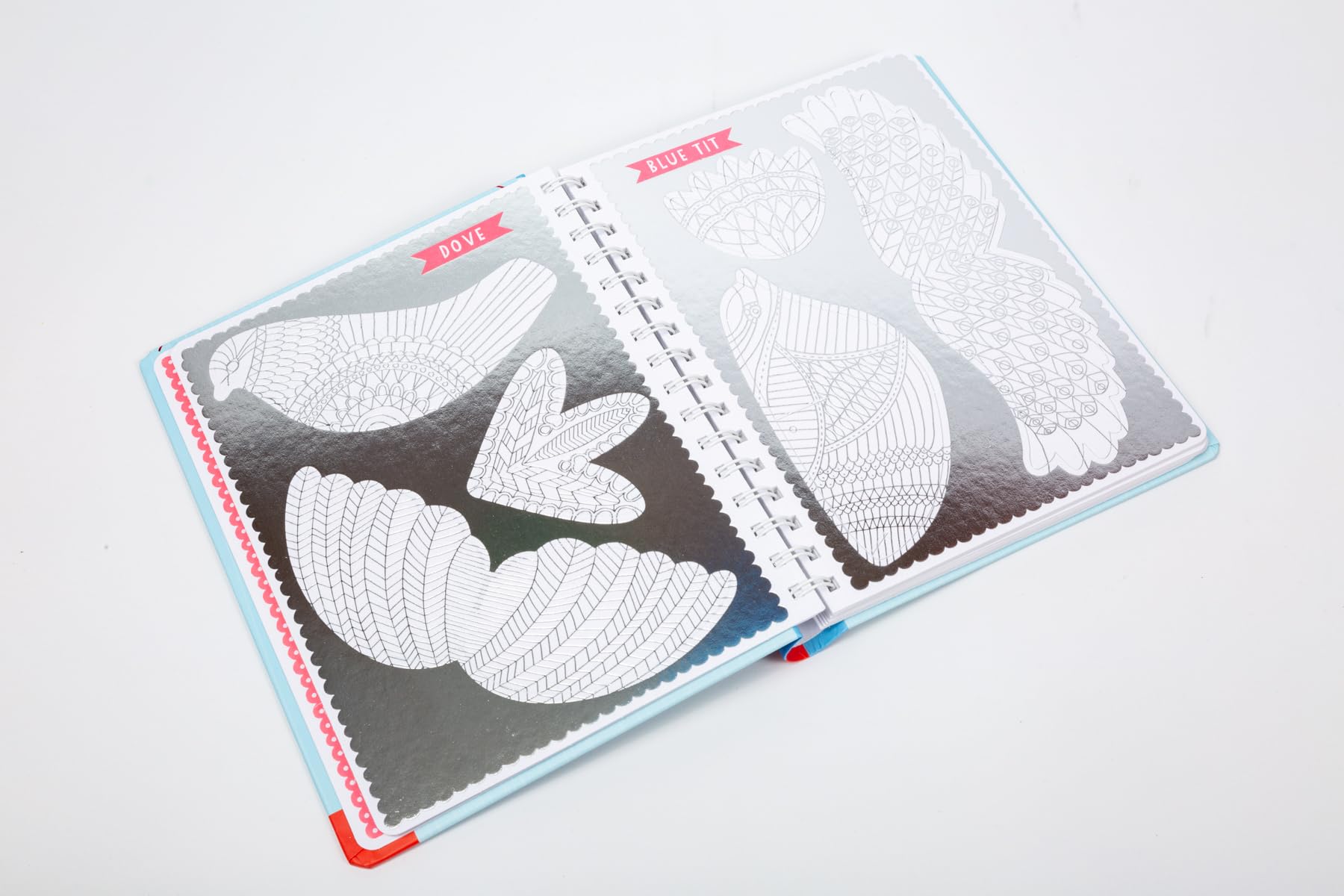 Press Out & Color Birds - DIY Bird Coloring Kit for Kids | Creative Art Activity for Home & Classroom Use