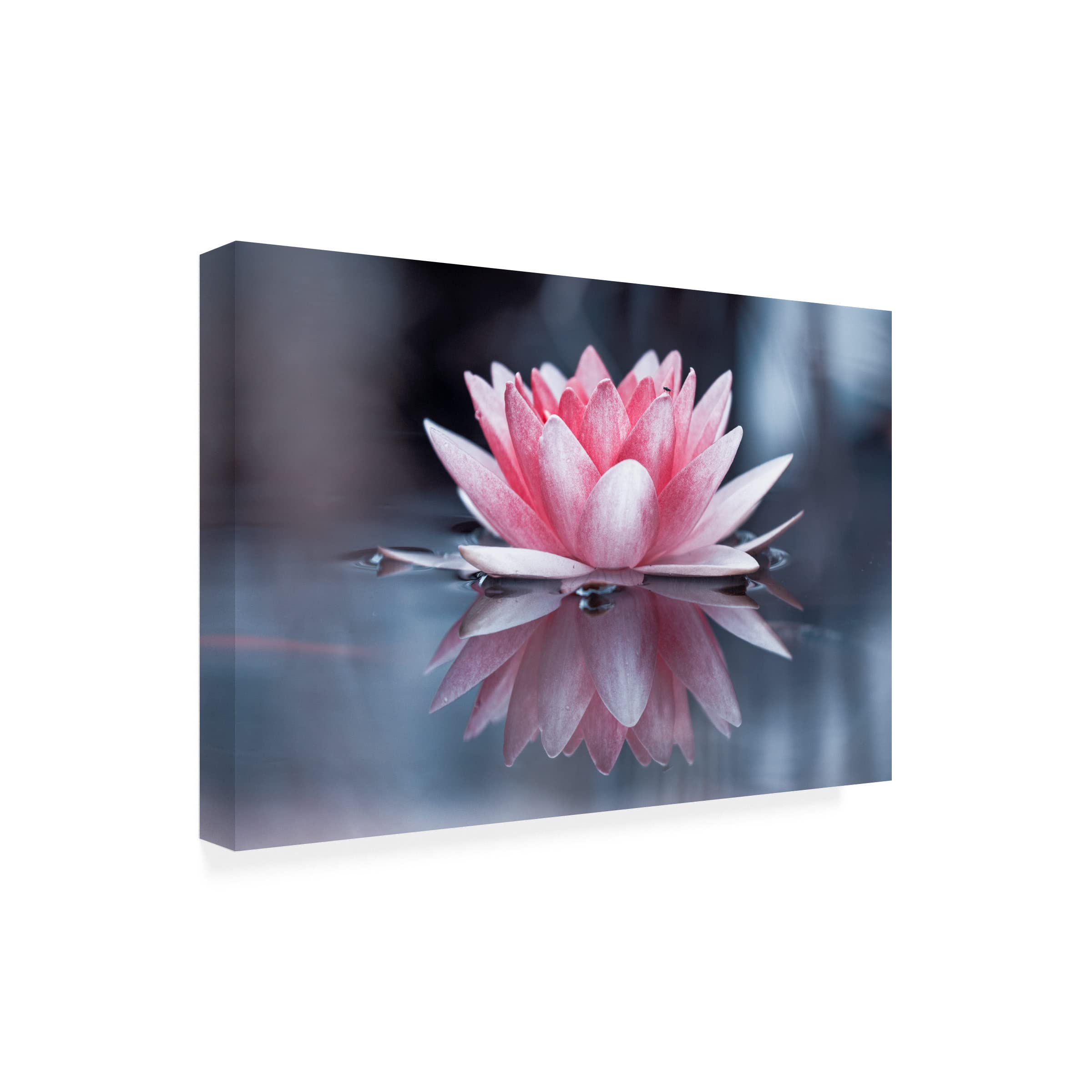 Padmasana Yoga Meditation Canvas Art Print by Fabien Bravin - Stunning Wall Decor for Living Room, Bedroom & Office - Premium Trademark Fine Art Collection