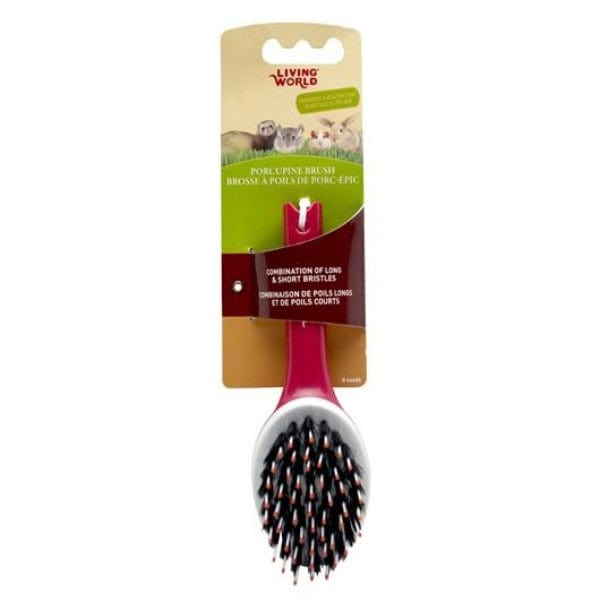 Living World Porcupine Chew Brush for Small Pets - Hamster, Rabbit, Guinea Pig Chew Toy for Dental Health & Enrichment - Perfect for Cage Play & Small Animal Enrichment Activities