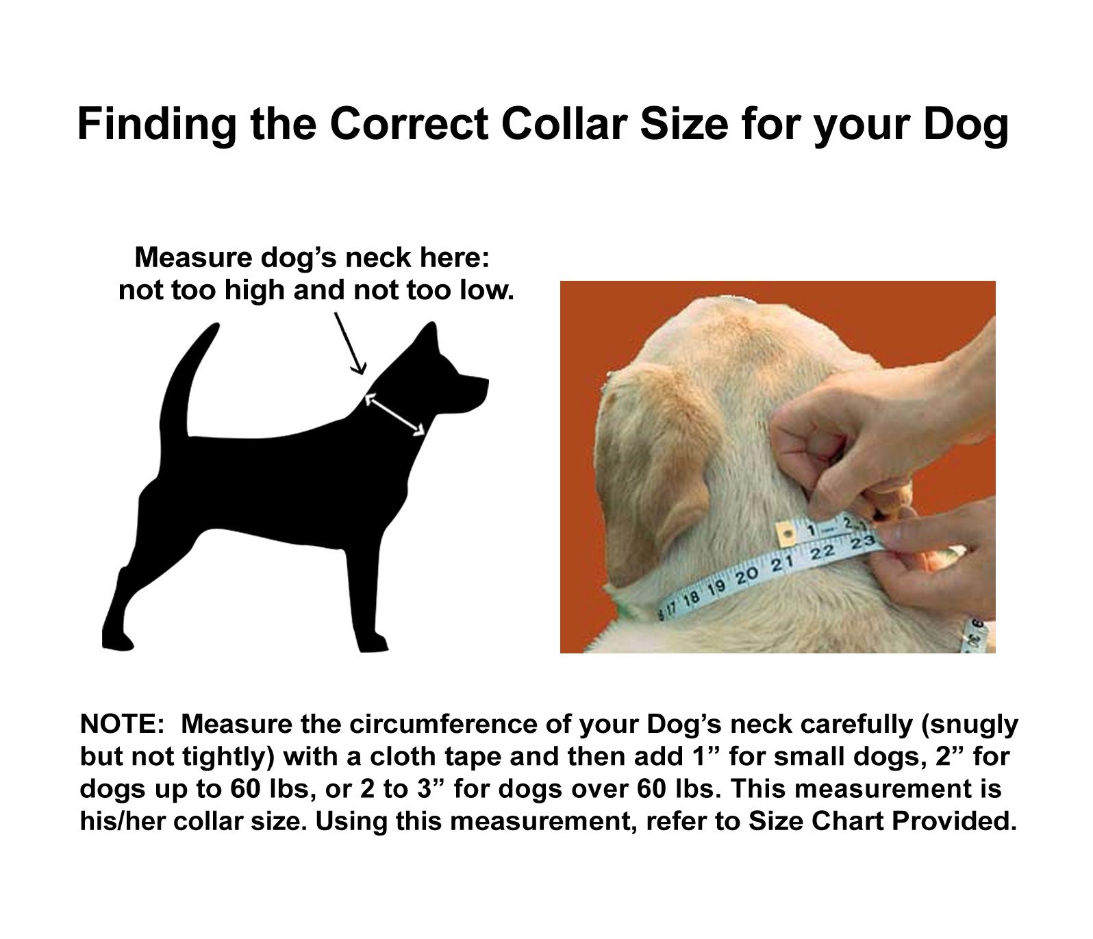 Premium Nylon Neoprene Padded Dog Collar - Classic Comfort Adjustable Collar for Medium Dogs | Soft & Durable Pet Collar with Padded Lining | Perfect for Daily Walks, Training & Outdoor Adventures (Neon Green, Size M) by Wagtime Club