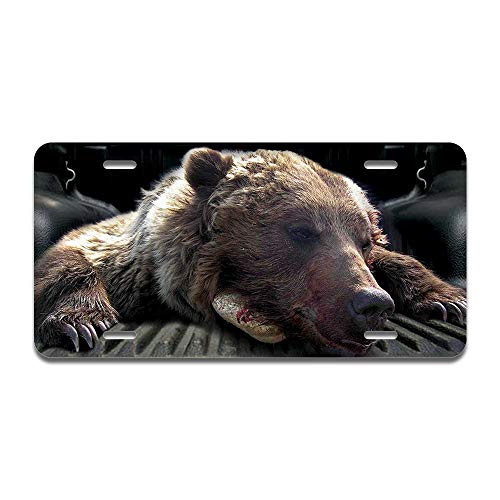 Dead Bear