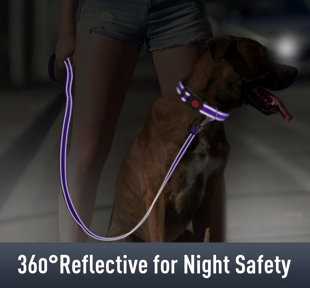 AirTag Dog Collar with Secure Holder - Reflective Nylon Pet Collar with Soft Padding & Safety Buckle - Adjustable for Medium Dogs & All Breeds (Purple) - Perfect for Night Walks, Pet Safety & GPS Tracking