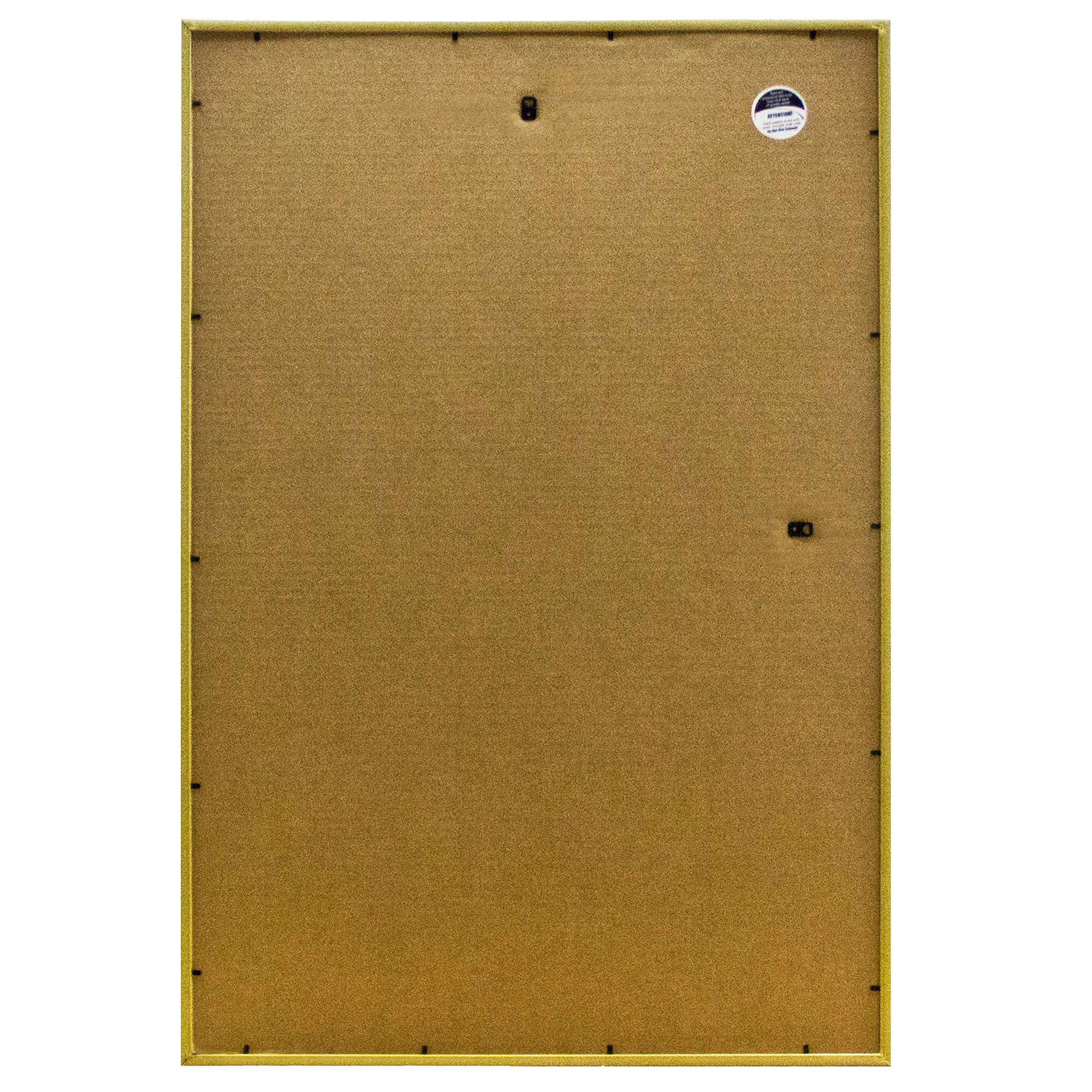 Frame USA 23x35 Deluxe Polystyrene Plastic Poster Frame in Gold - American Made - Perfect for Home Decor, Office Displays & Art Exhibitions