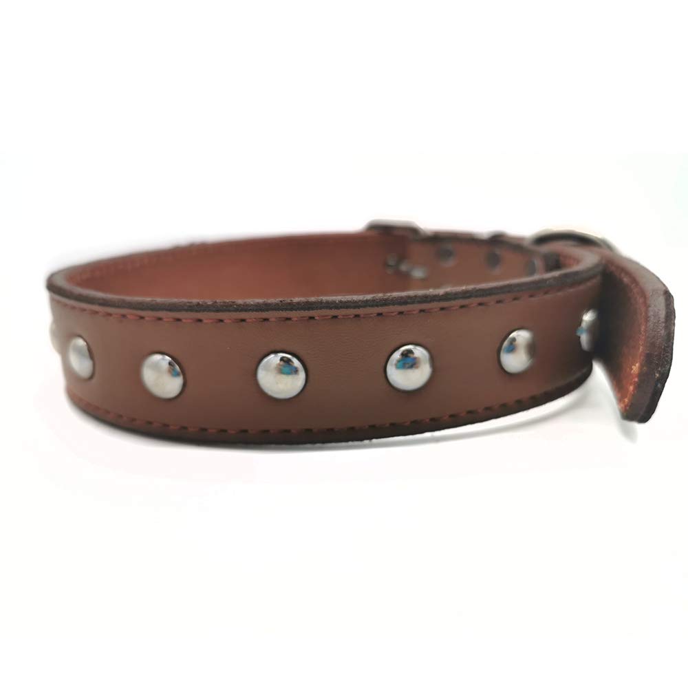 Premium Genuine Leather Dog Collar - Heavy Duty Cowhide with Rust-Proof Hardware for Medium & Large Breeds - Perfect for Training, Walking & Outdoor Adventures