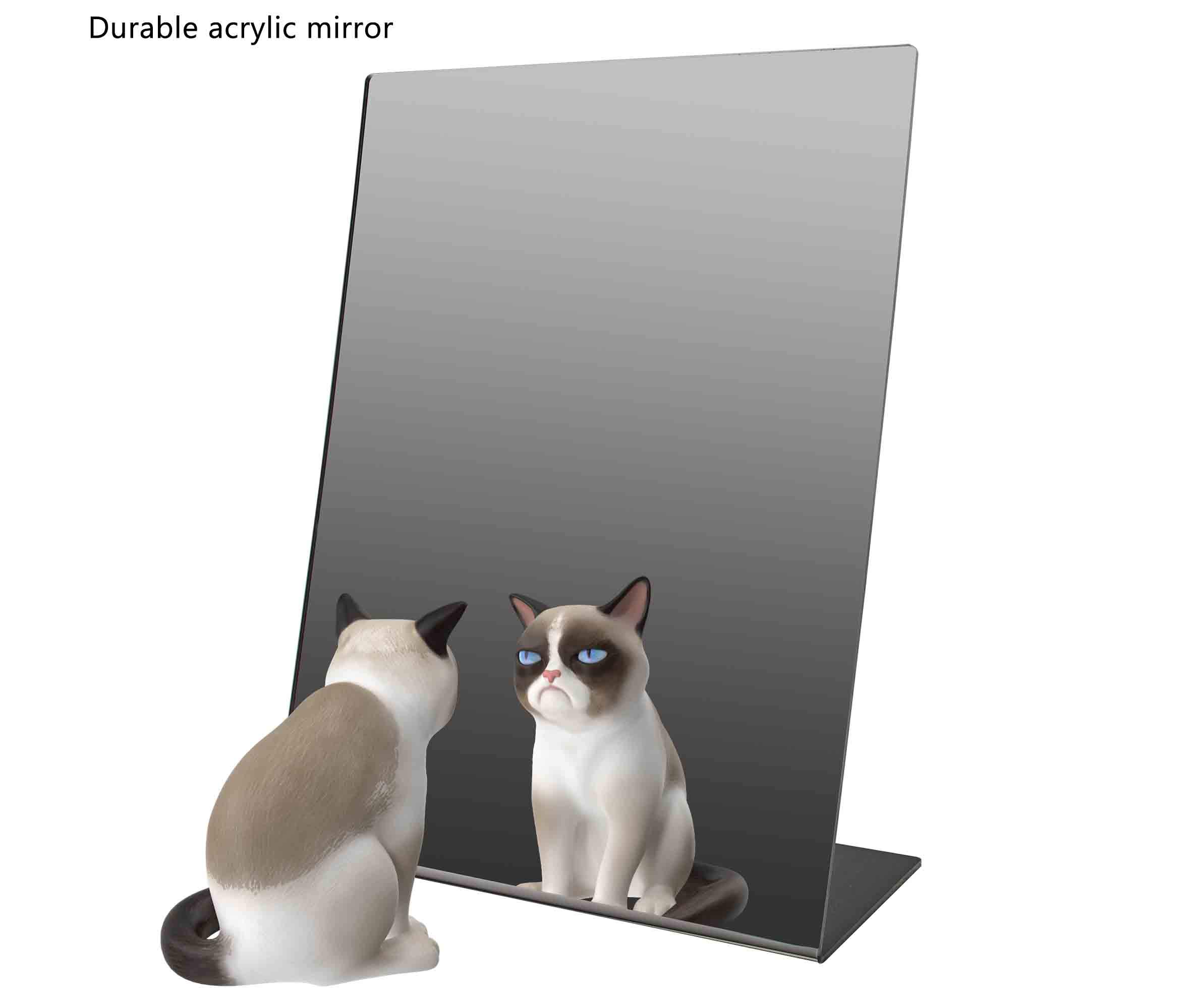 6 Pack Acrylic Mirror Stand - 9