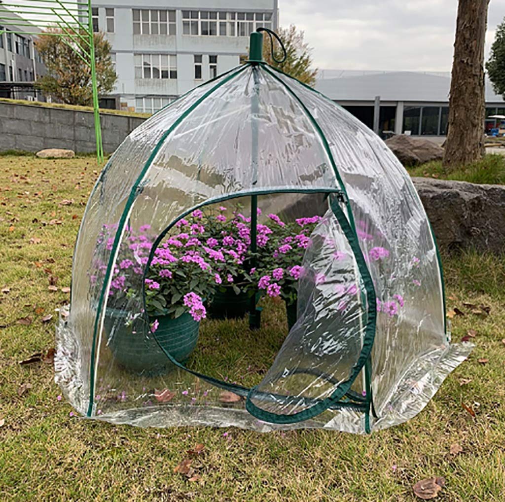 ZWWS-YJ PVC Greenhouse with Sturdy Metal Frame - Transparent Cover (Size 105x105x78cm) for Indoor/Outdoor Gardening, Plant Growing, and Seed Starting