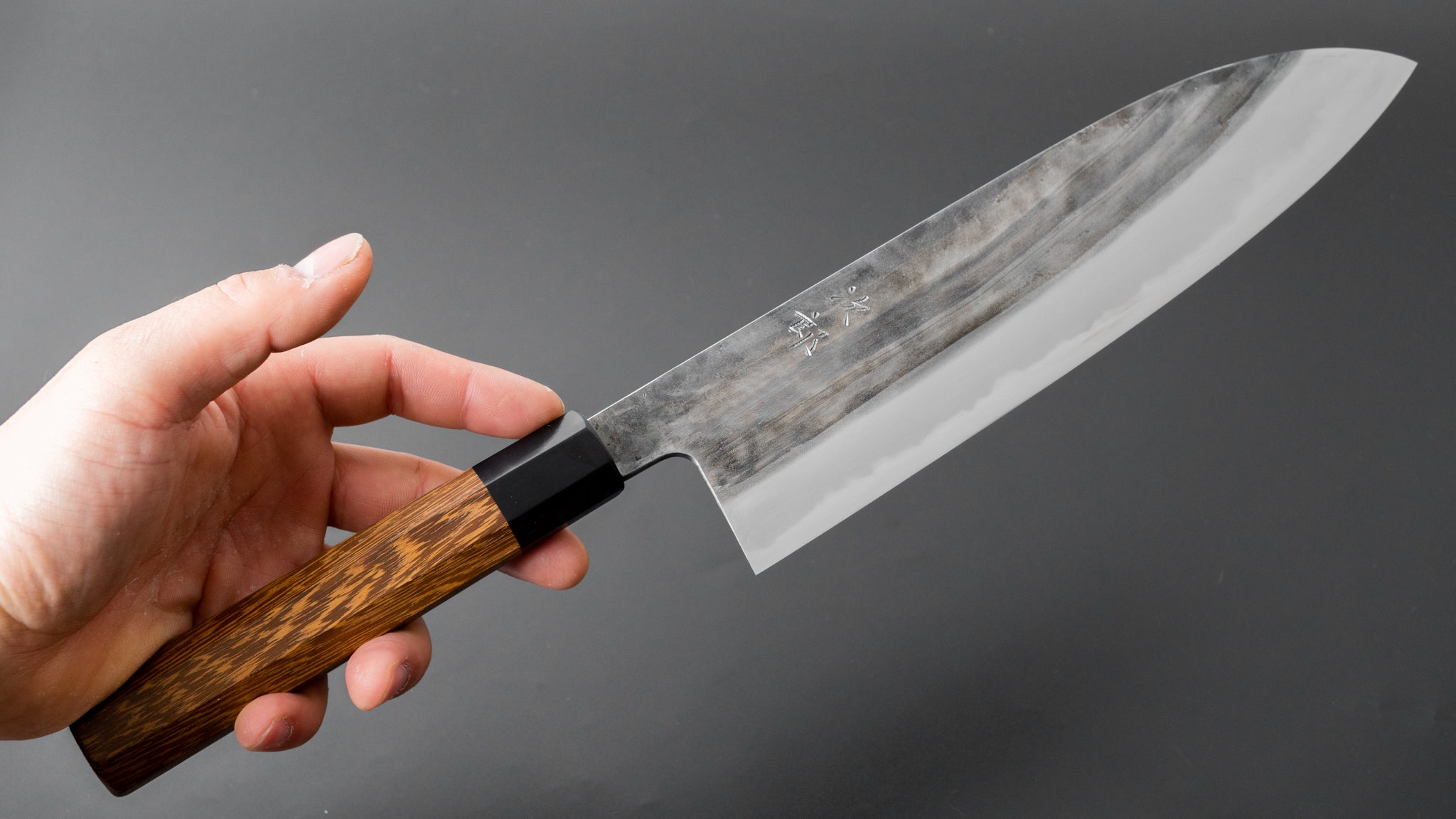 Premium Jiro Tsuchime Wa Gyuto 240mm Japanese Chef Knife with Taihei Tagayasan Handle - Perfect for Sushi, Sashimi & Precision Cutting (#359)