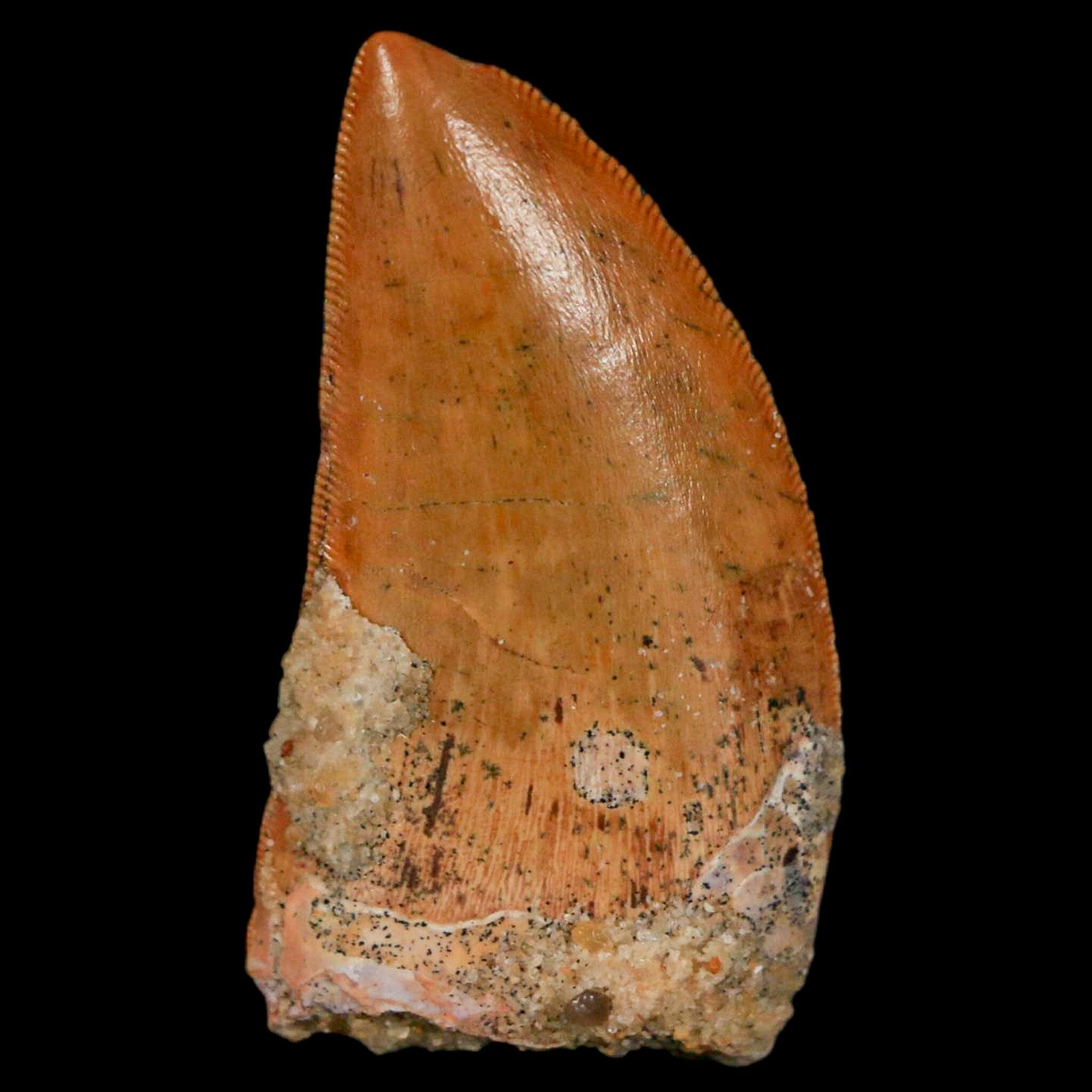 1.5