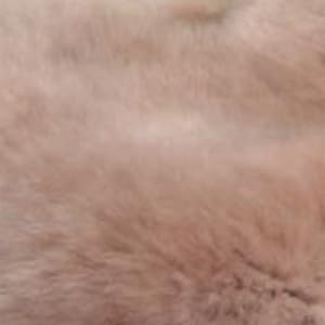 cameo brown