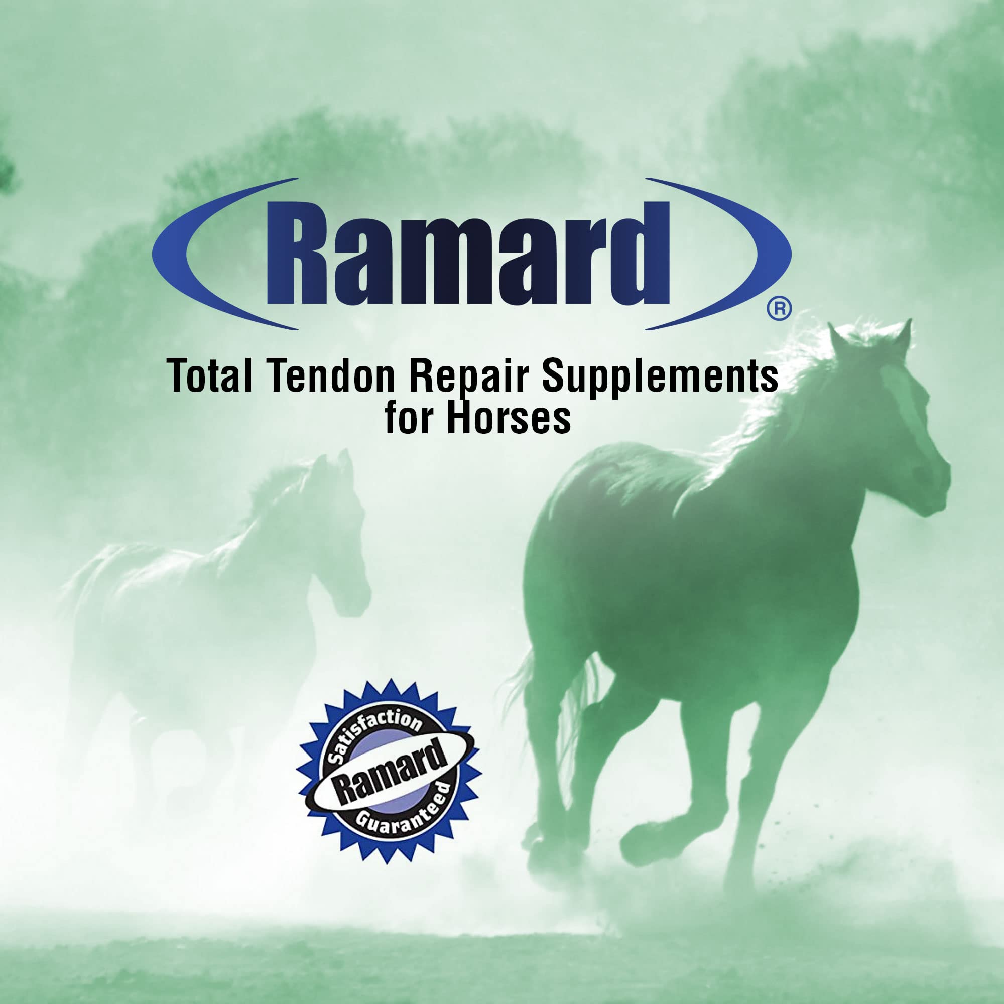 Total Tendon Repair Powder Supplement for Horses – Advanced Formula with Vitamin C, Collagen & MSM for Joint, Ligament & Tendon Support – Promotes Elasticity & Strength – 30 Day Supply – Ideal for Performance Horses & Recovery