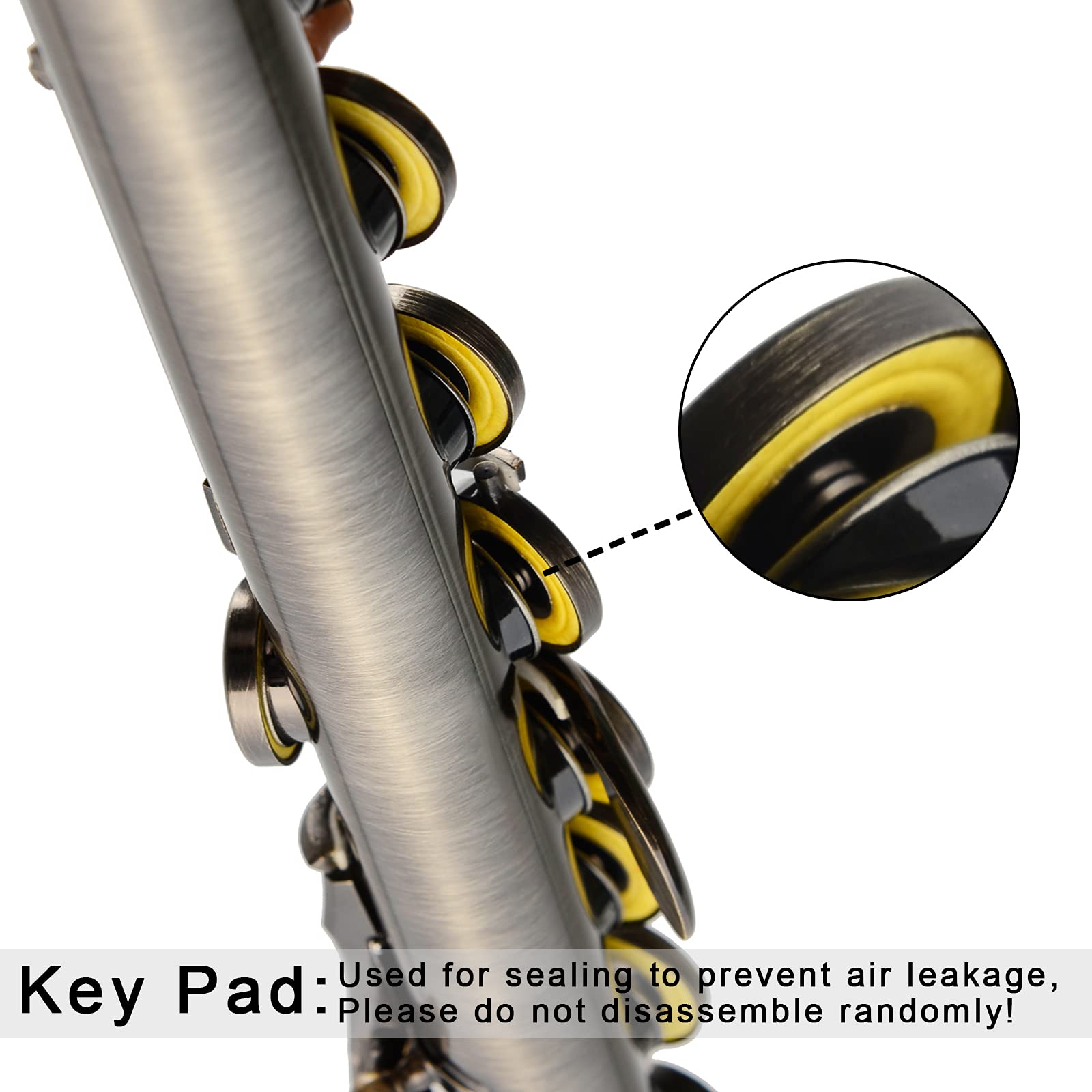 EASTROCK 16 Key Closed Hole C Flute for Beginners, Kids & Students - Antique Finish with Case, Stand & Cleaning Kit - Perfect for School Bands, Music Lessons & Home Practice