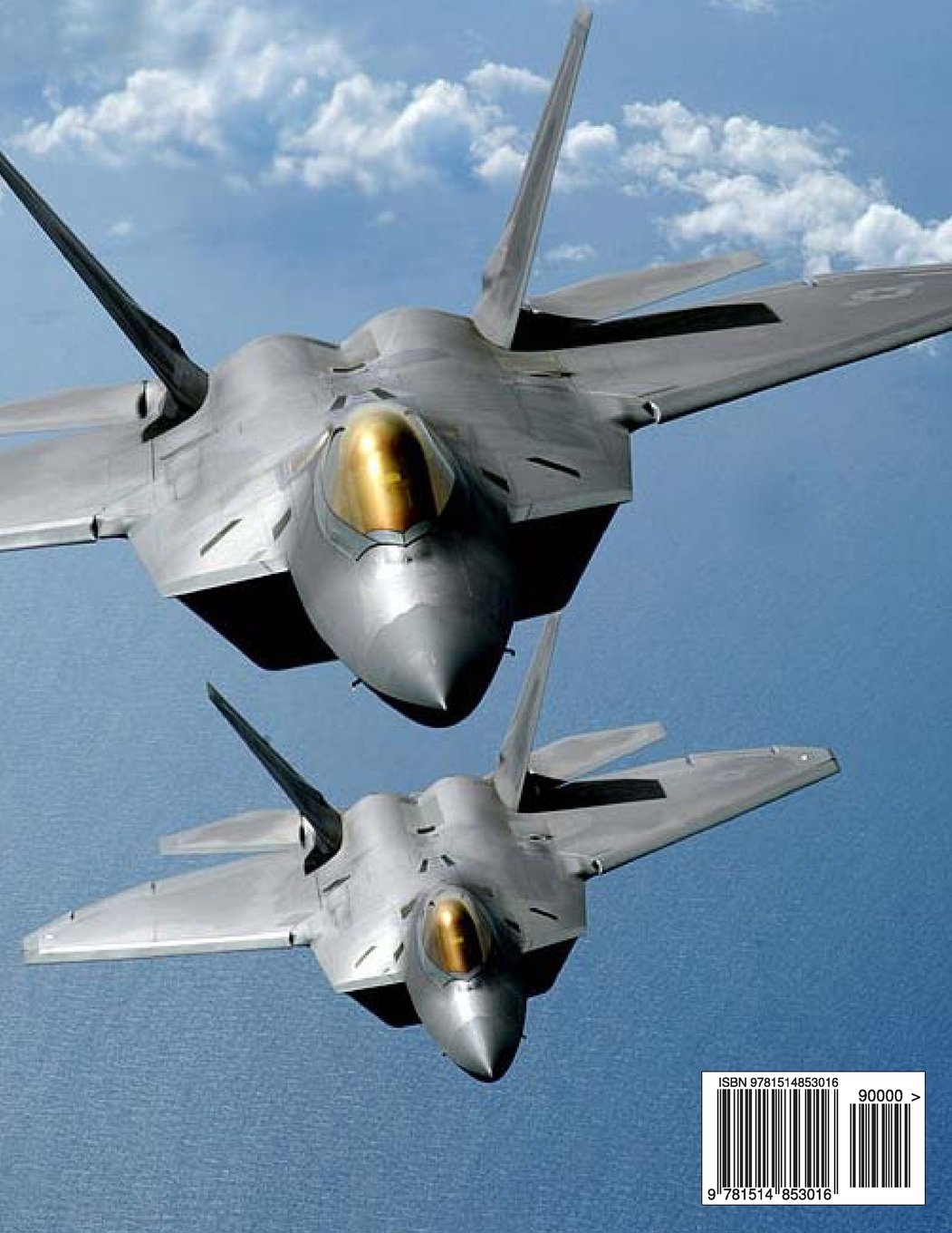 How to Become a US Air Force Fighter Pilot - Kids' Aviation Career Guide | Inspiring Military Books for Children & Future Aviators | Perfect for School Projects & STEM Learning
