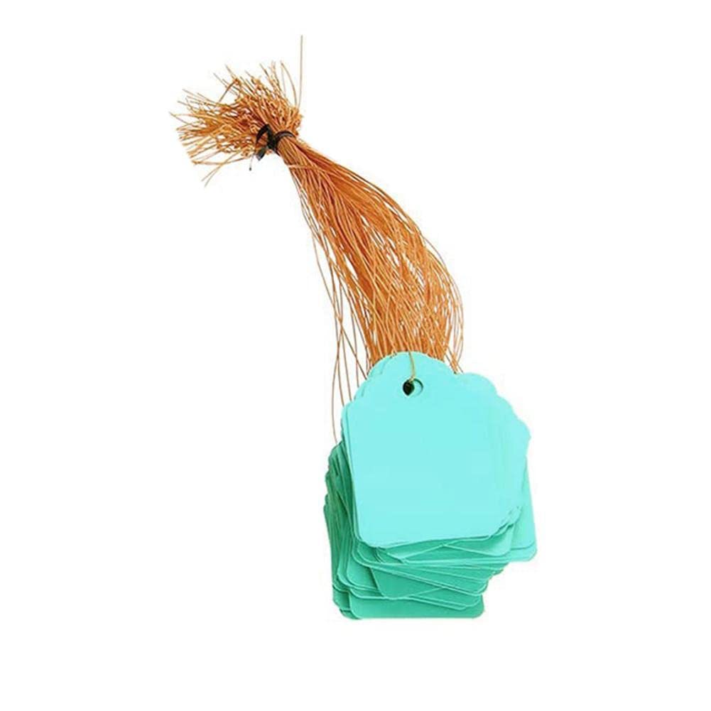 100 PCS Waterproof Reusable Plant Tags with String - Durable Gardening Labels for Seedlings, Herbs & Vegetables - Perfect for Indoor/Outdoor Garden Organization & Plant Identification