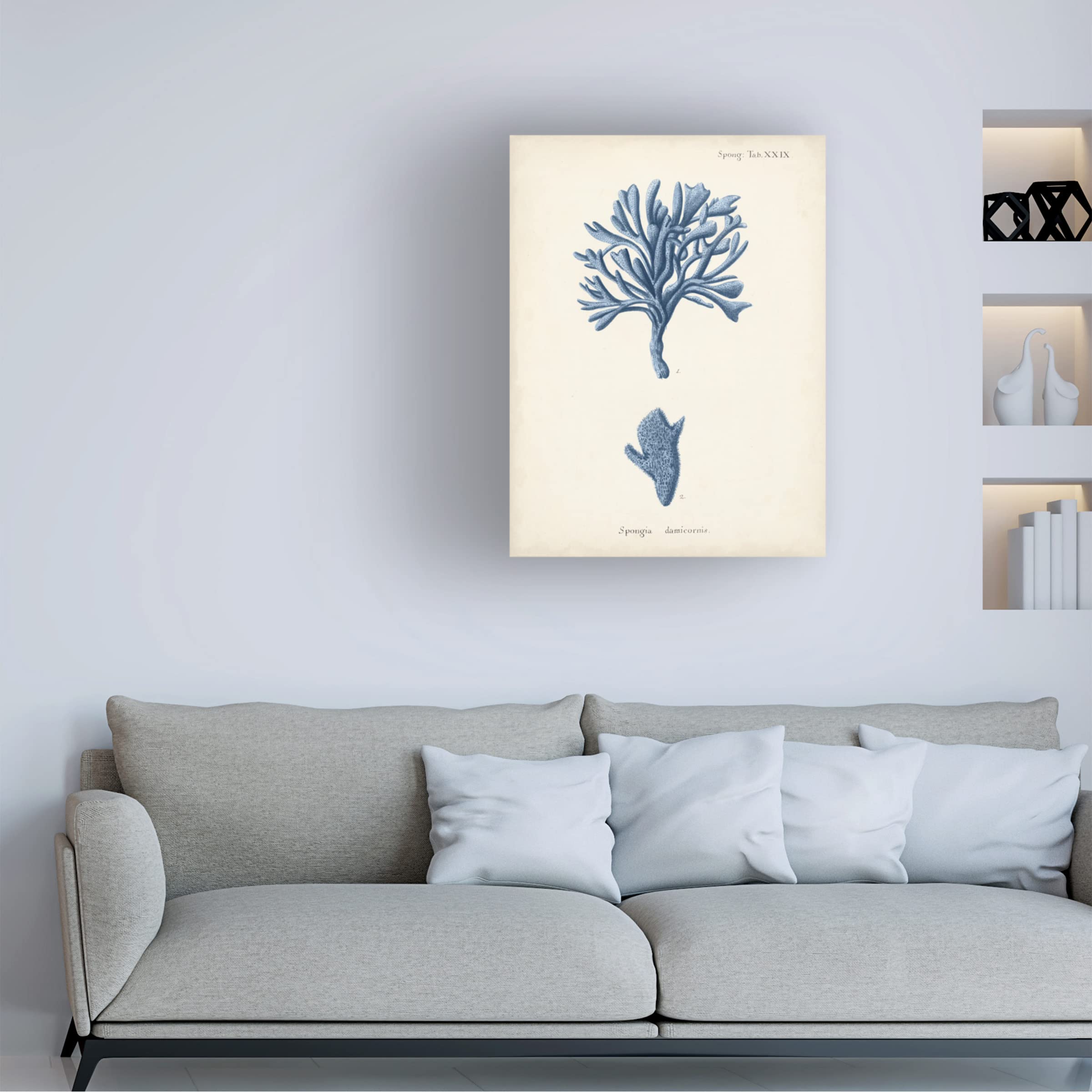 Trademark Fine Art 'Antique Coral in Navy IV' Canvas Wall Art by Johann Esper - Elegant Home Decor for Living Room, Bedroom & Office