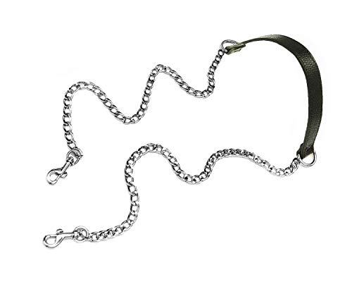 Black-silver Buckles