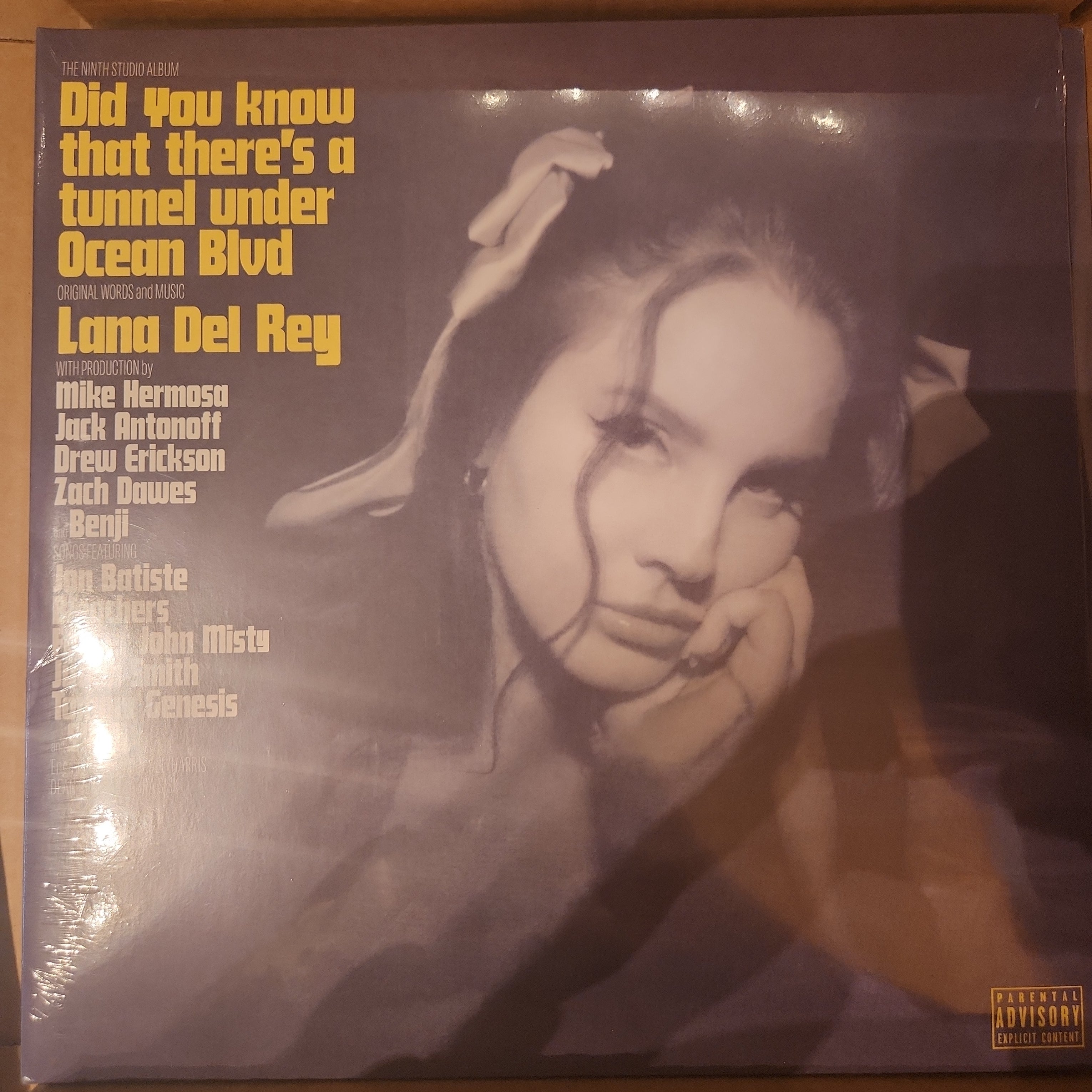 Lana Del Rey - Did You Know There's a Tunnel Under Ocean Blvd (Black Vinyl LP) | Limited Edition Record for Music Collectors & Vinyl Enthusiasts | Perfect for Home Listening, Gifts & Music Lovers