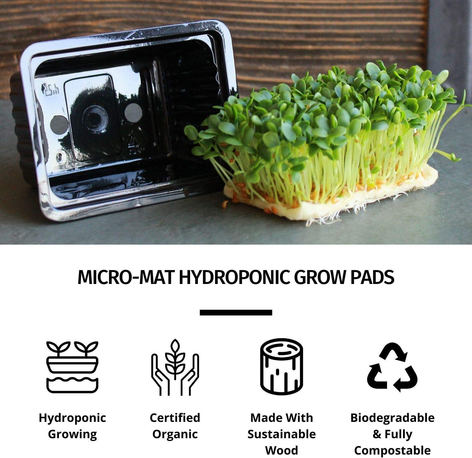 Organic Hydroponic Grow Pads for Wheatgrass & Microgreens - Handy Pantry Micro-Mat Minis 4