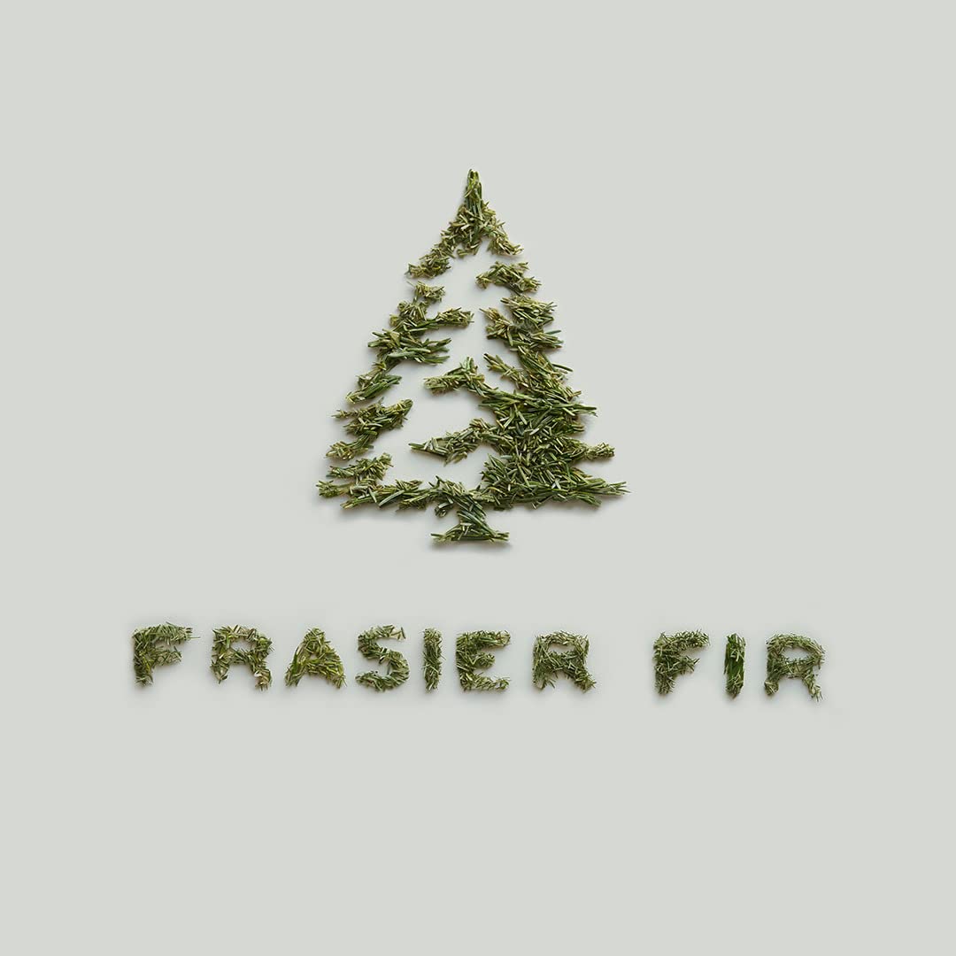 Thymes Frasier Fir Scented Candle - 7.5 oz Holiday Pine Needle Candle with Siberian Fir, Cedarwood & Sandalwood Fragrance - Elegant Christmas Decor for Home, Office & Gift Giving