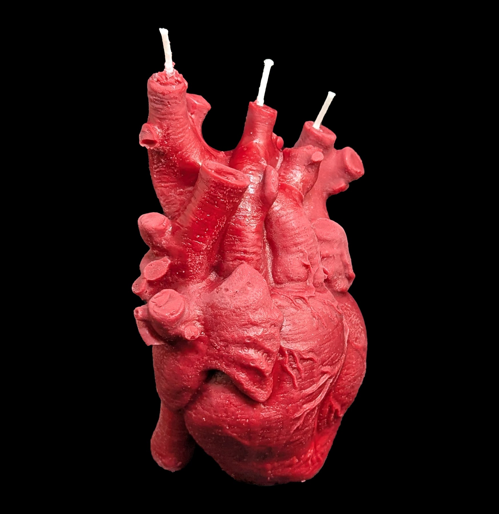 Handmade Anatomical Heart Soy Candle - Realistic Human Heart Design, 100% Natural Soy Wax, Long-Lasting Scent - Perfect for Valentine's Day Gifts, Medical Student Gifts & Gothic Home Decor