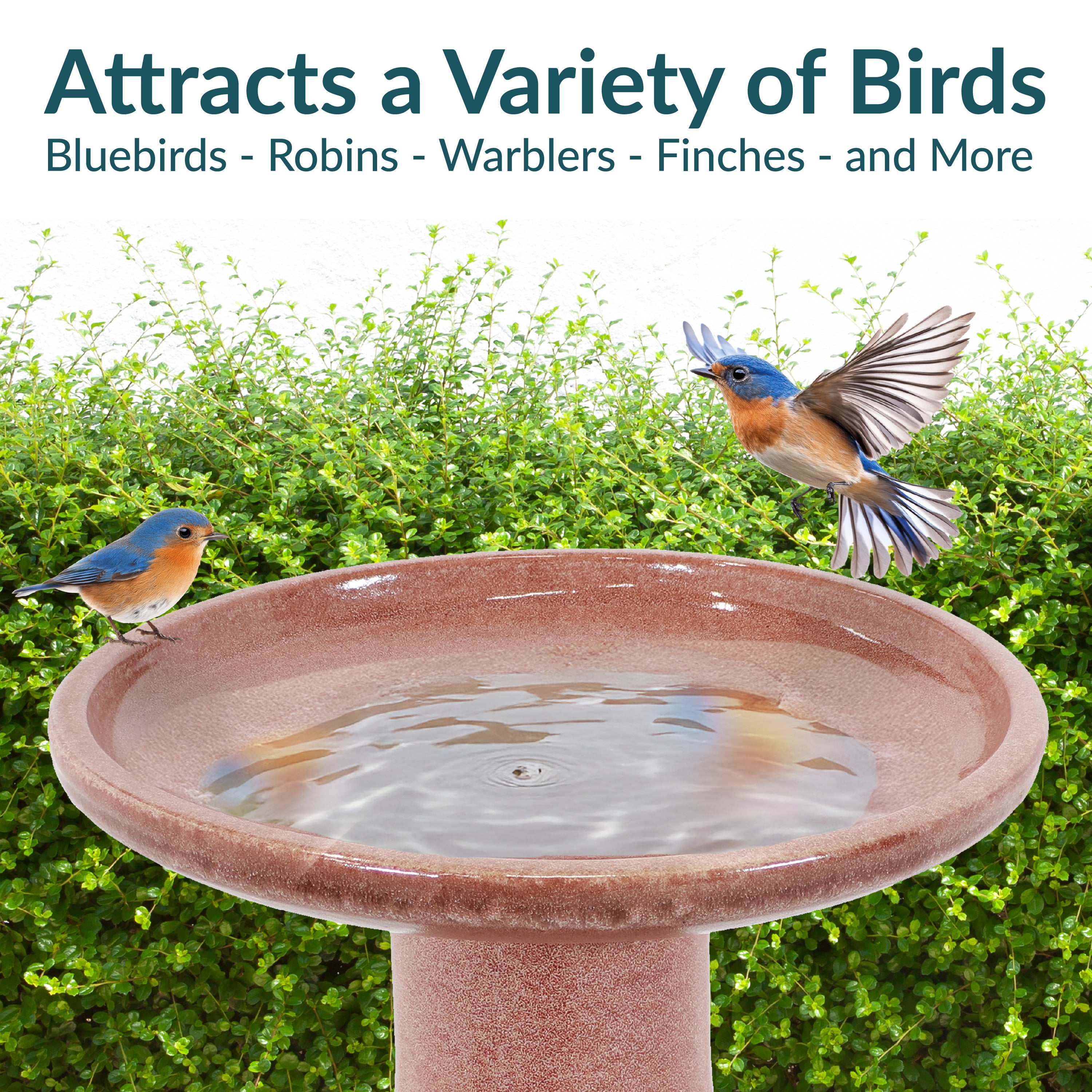 Sunnydaze 18 Inch Glazed Ceramic Outdoor Bird Bath - Garden Decor for Attracting Birds & Enhancing Outdoor Spaces
