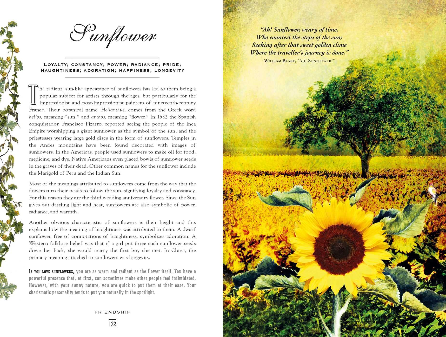The Secret Language of Flowers: Meaning & Symbolism Guide | Perfect for Weddings, Gifts & Home Decor