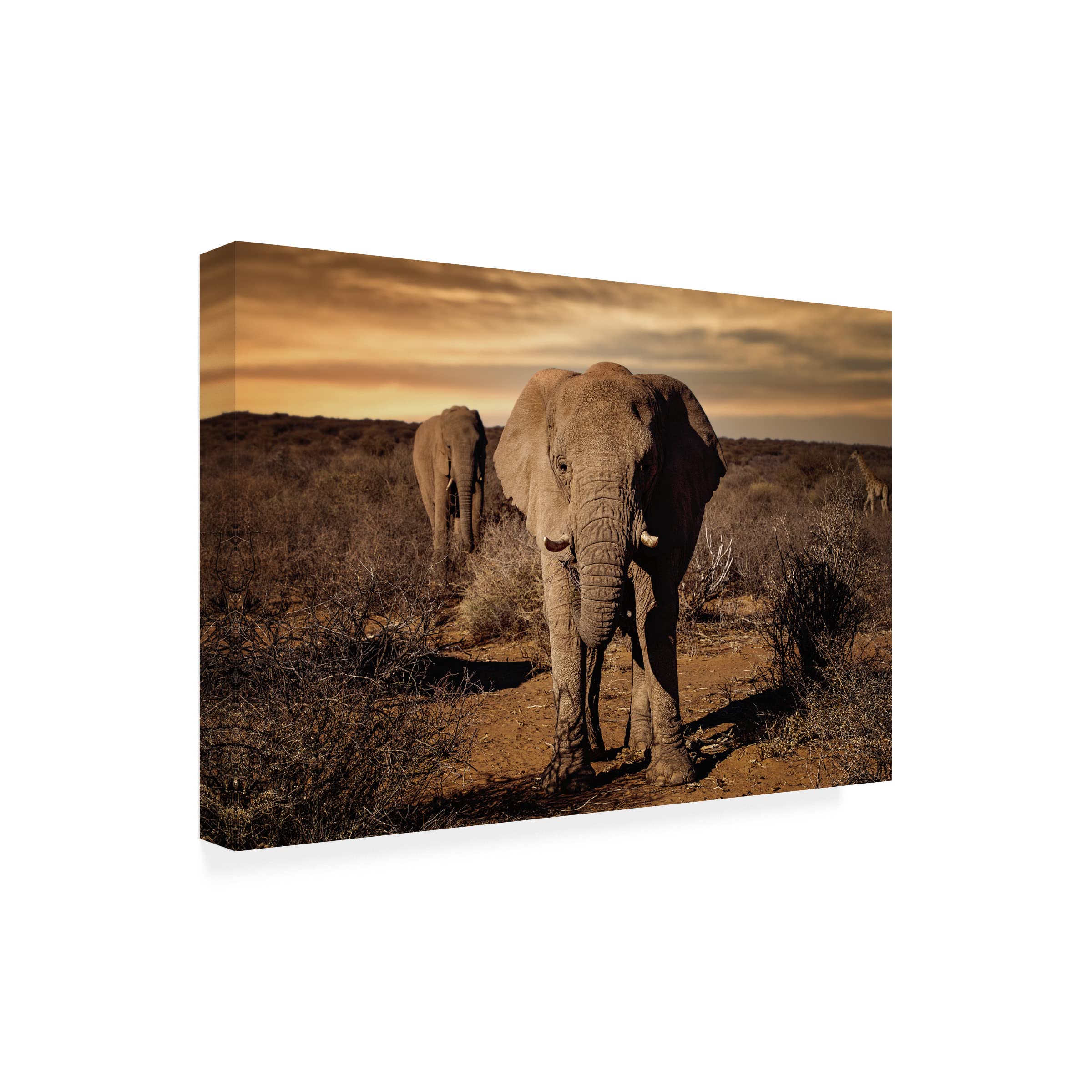 Trademark Fine Art 'Big' Canvas Art by Walter Lackner - Premium Wall Decor for Living Room, Bedroom & Office - Modern Abstract Painting for Home & Office Decor