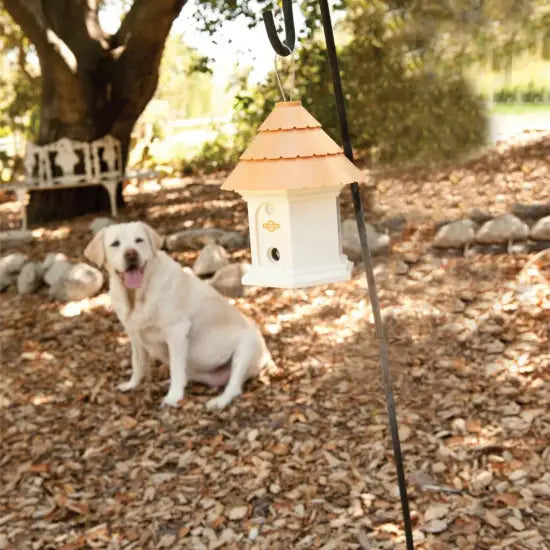Outdoor Ultrasonic Bark Control Device - Stop Dog Barking with Sound Waves for Quiet & Peaceful Yard
