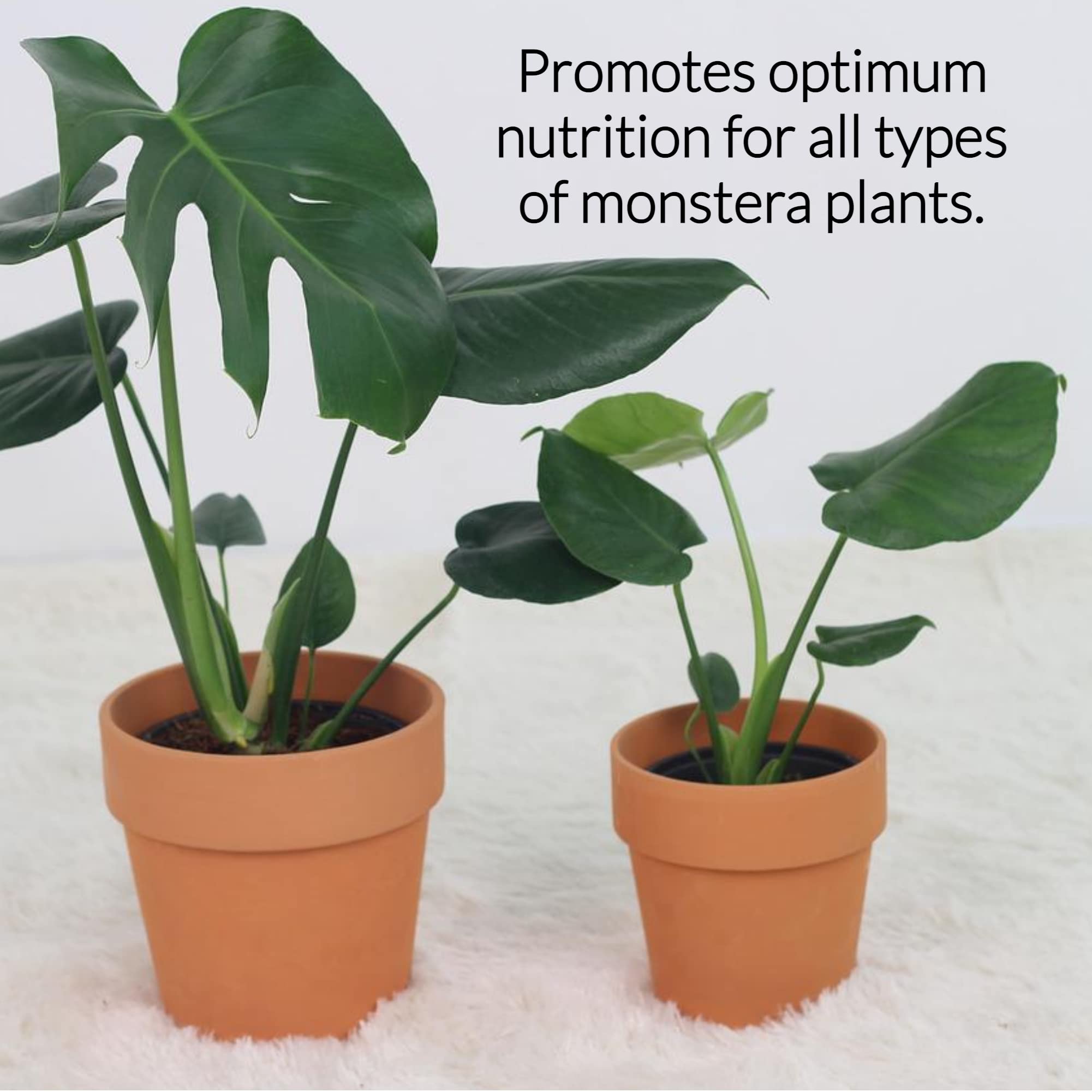 Professional Monstera Plant Fertilizer 3-1-2 NPK Concentrate for Indoor Plants & Flowers | Multi-Purpose Liquid Plant Food for Houseplants | 8 oz Gardening Supplies for Lush Foliage Growth – Perfect for Monstera Deliciosa, Pothos & Philodendron Care