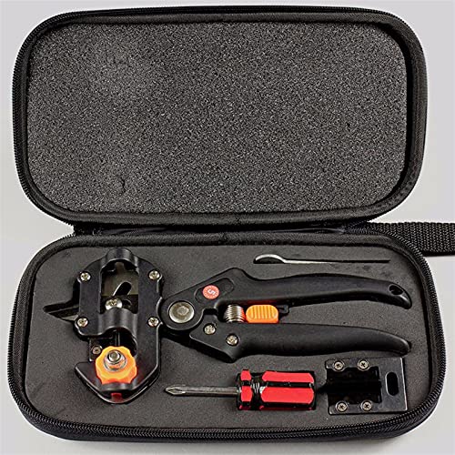Set F With Box