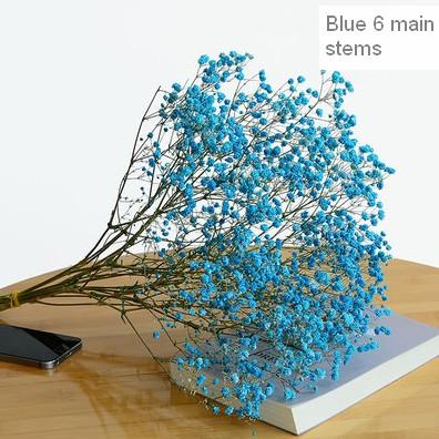 A bunch blue babys breath  (about 12 stems)