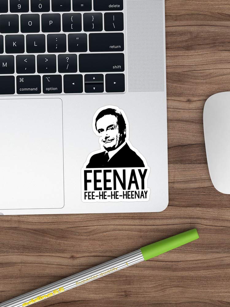 3 Pack Mr. Feeny Funny Vinyl Stickers - Waterproof Decals for Laptop, Phone, Car, Guitar & Fridge - Perfect for School, Office & Home Decor