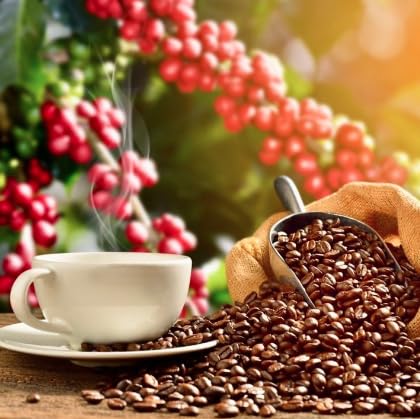 Hawaiian Isles Coffee Island Sunset Dark Roast Ground Coffee - 10% Hawaiian Coffee Blend, Roasted with Aloha - 8 Ounce Bag for Home Brewing & Gifts