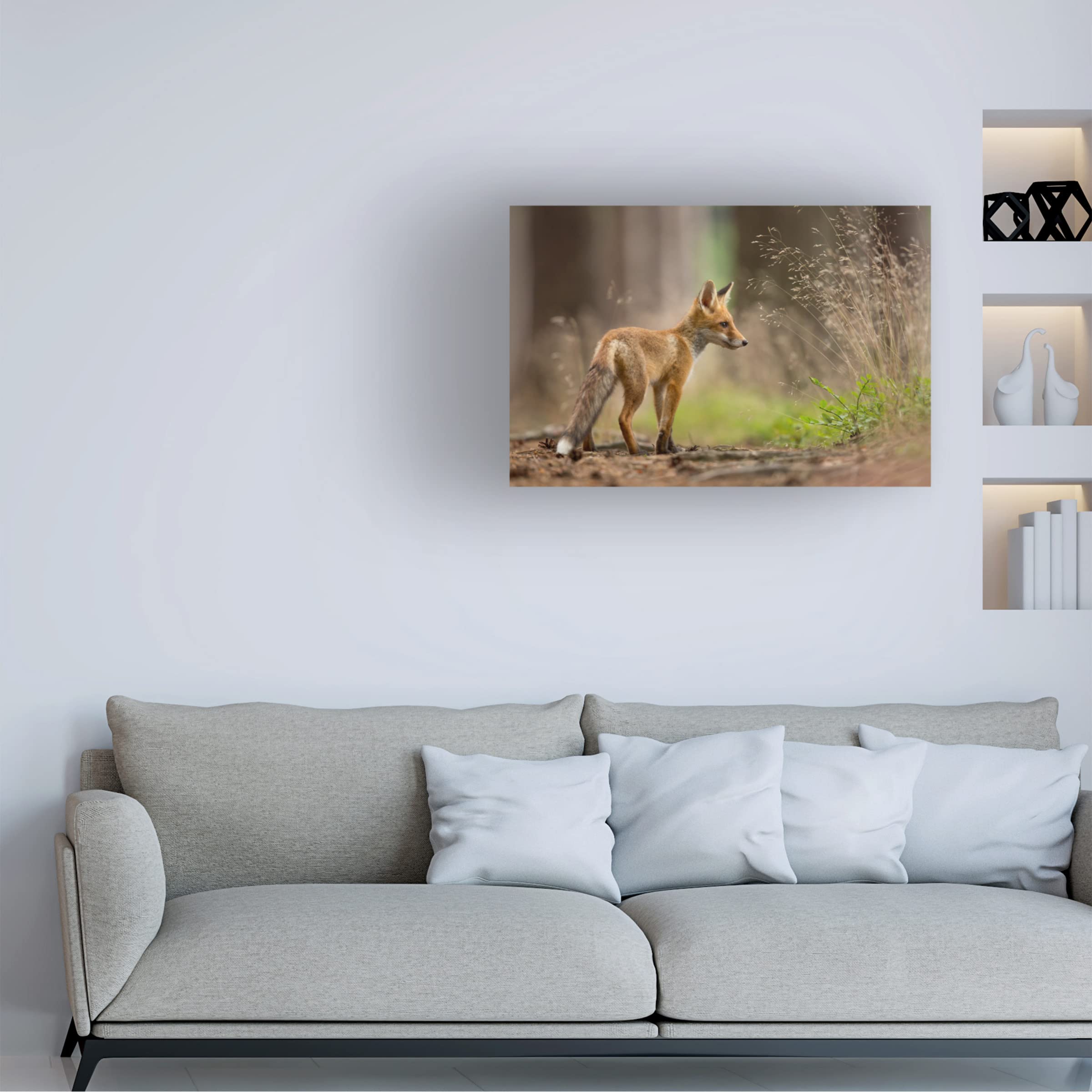 Trademark Fine Art 'Red Fox 1' Canvas Wall Art by Milan Zygmunt - Wildlife Home Decor for Living Room, Bedroom & Office