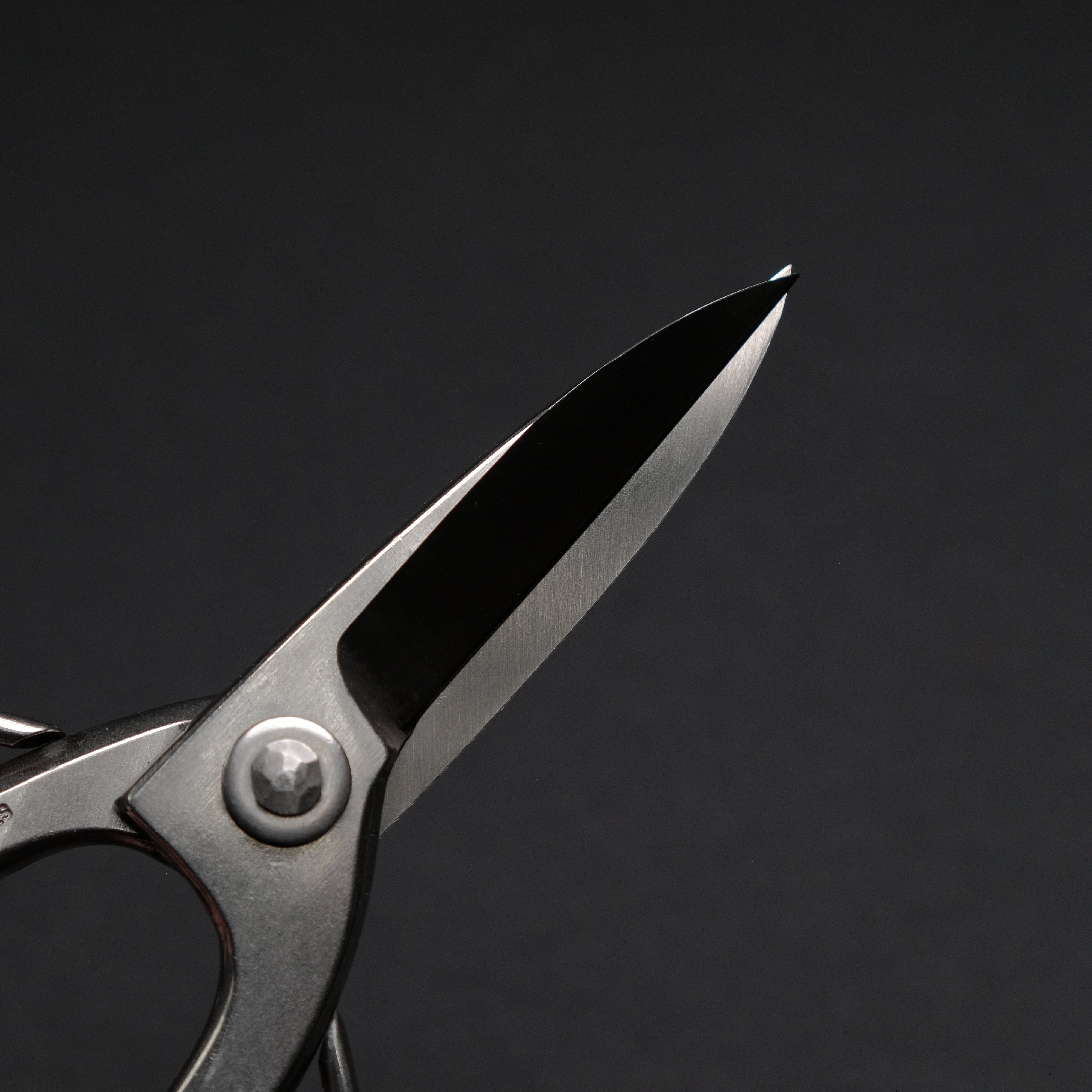 Premium Morihei Kikuyu Stainless Steel Okubo Pruning Shears 195mm - Professional Gardening Shears for Trimming, Pruning Trees & Plants - Ideal for Gardeners, Landscapers & Horticulture Enthusiasts