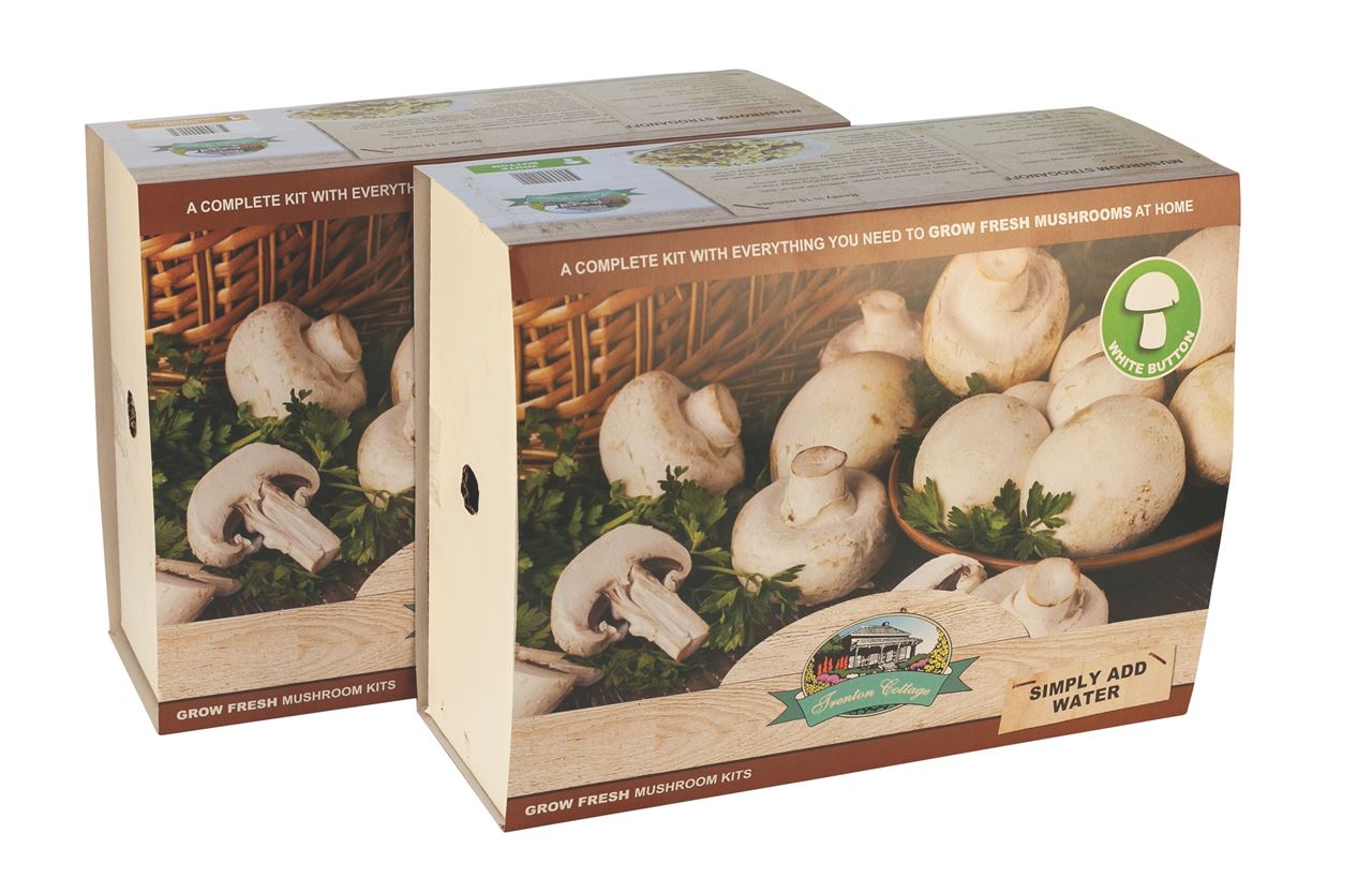 Organic White Button Mushroom Growing Kit – Easy Home Cultivation for Fresh Mushrooms | Perfect for Cooking, Salads & Healthy Recipes