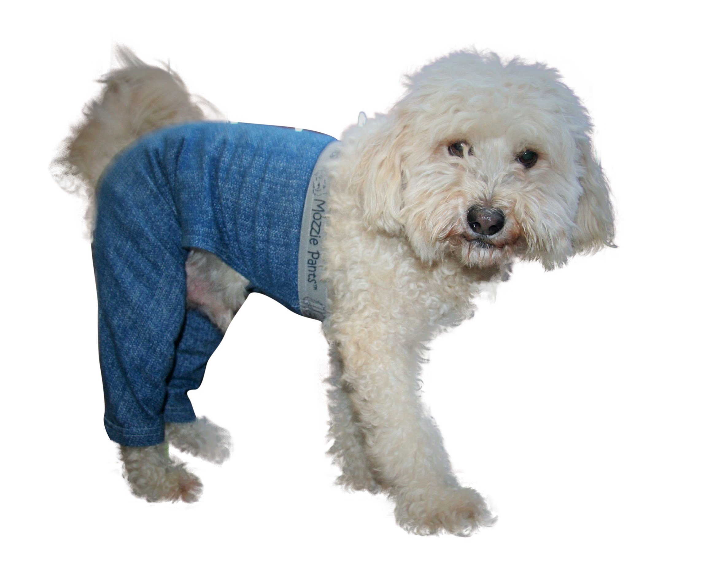 Mosquito Repellent Pants for Walking Dogs - Lightweight Bug Proof Hiking Pants for Outdoor Adventures & Pet Owners