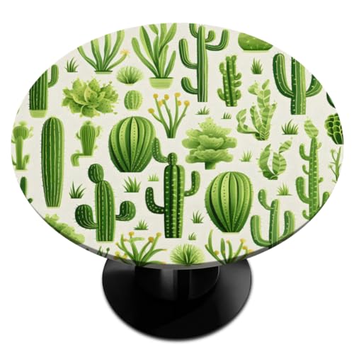 Cactus Plant