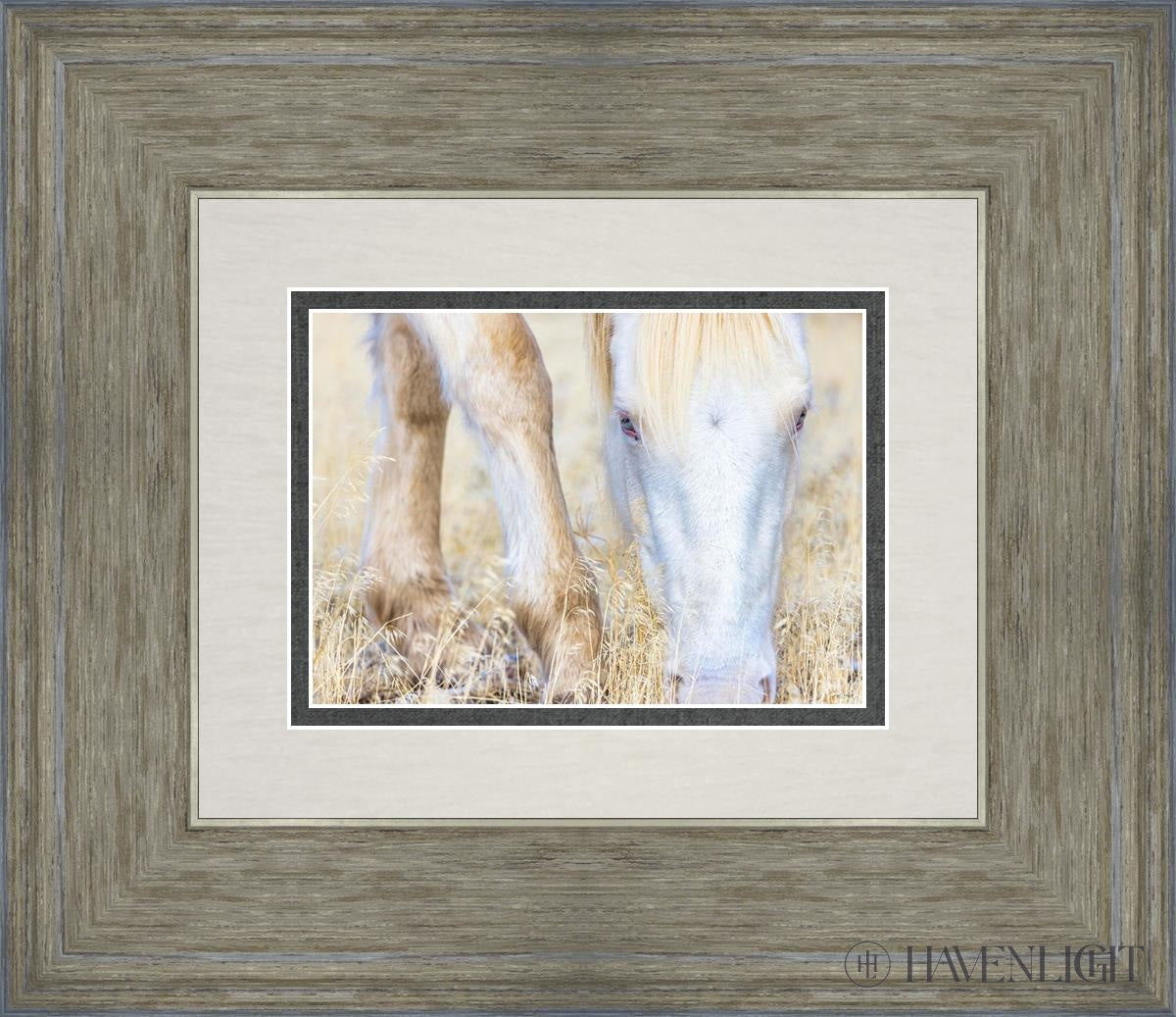 Dry Grass by Greg Sargent - Premium Handcrafted Home Decor for Rustic & Farmhouse Style - Perfect for Wall Art, Shelf Displays & Cozy Living Room Decor