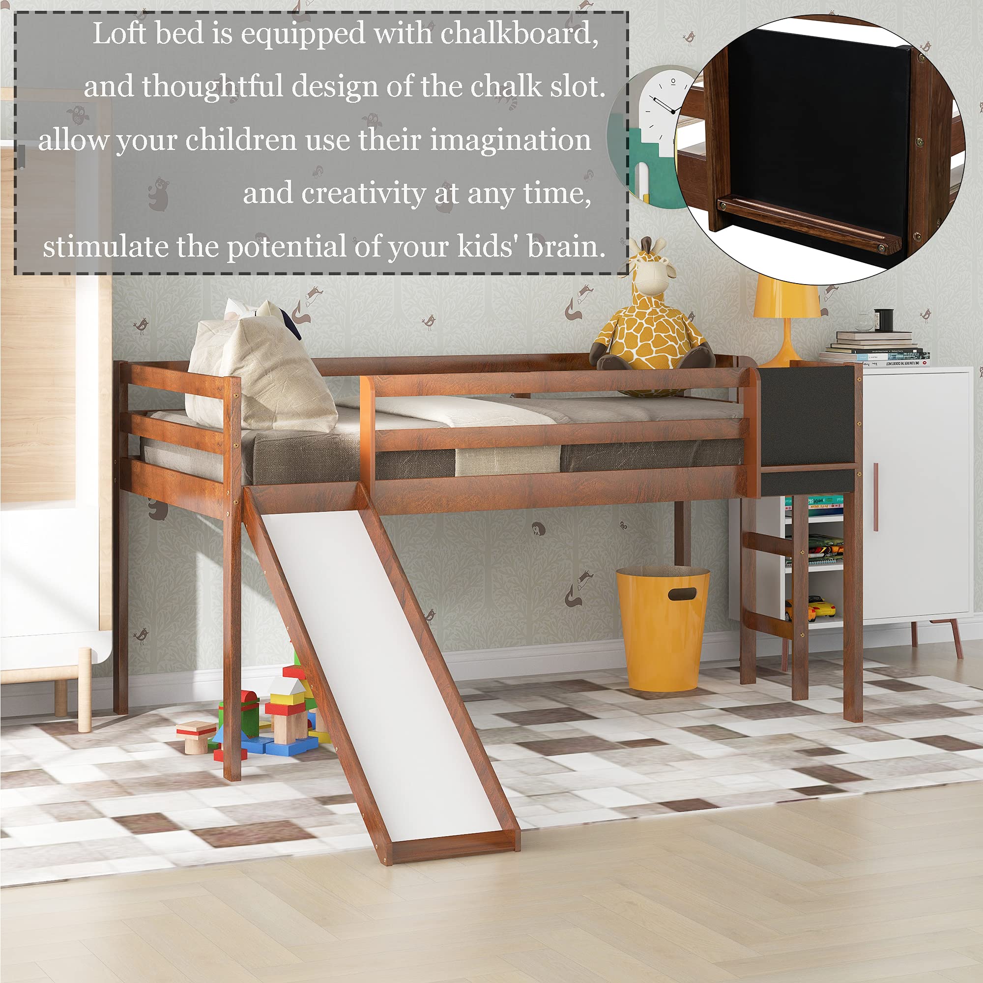 Twin Size Loft Bed with Slide - Wooden Low Loft Bed Frame with Chalkboard & Storage Space Under Bed for Kids - Perfect for Small Bedrooms, Playrooms & Dorm Rooms (Walnut, Twin)