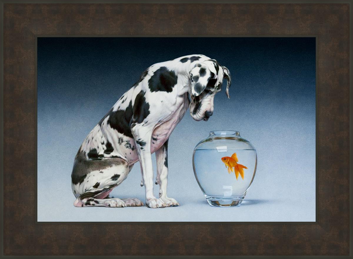 Dane And Fish By Chris Young - Premium Fishing Gear & Accessories for Outdoor Enthusiasts | Perfect for Freshwater & Saltwater Fishing Adventures