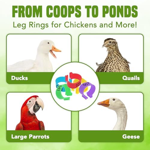 Numbered & Multi-Colored Plastic Poultry Leg Bands - 0.6